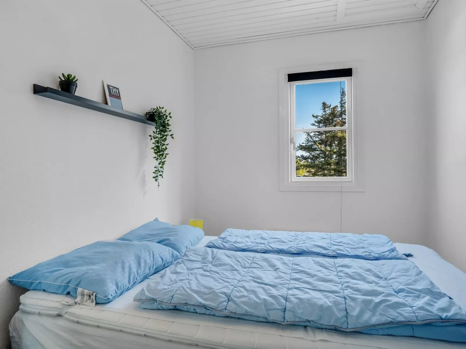 "Eleen" - 100m to the fjord-Binnen