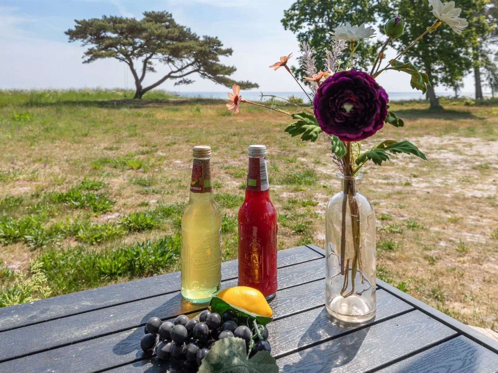 "Botolphus" - 20m from the sea-Buiten