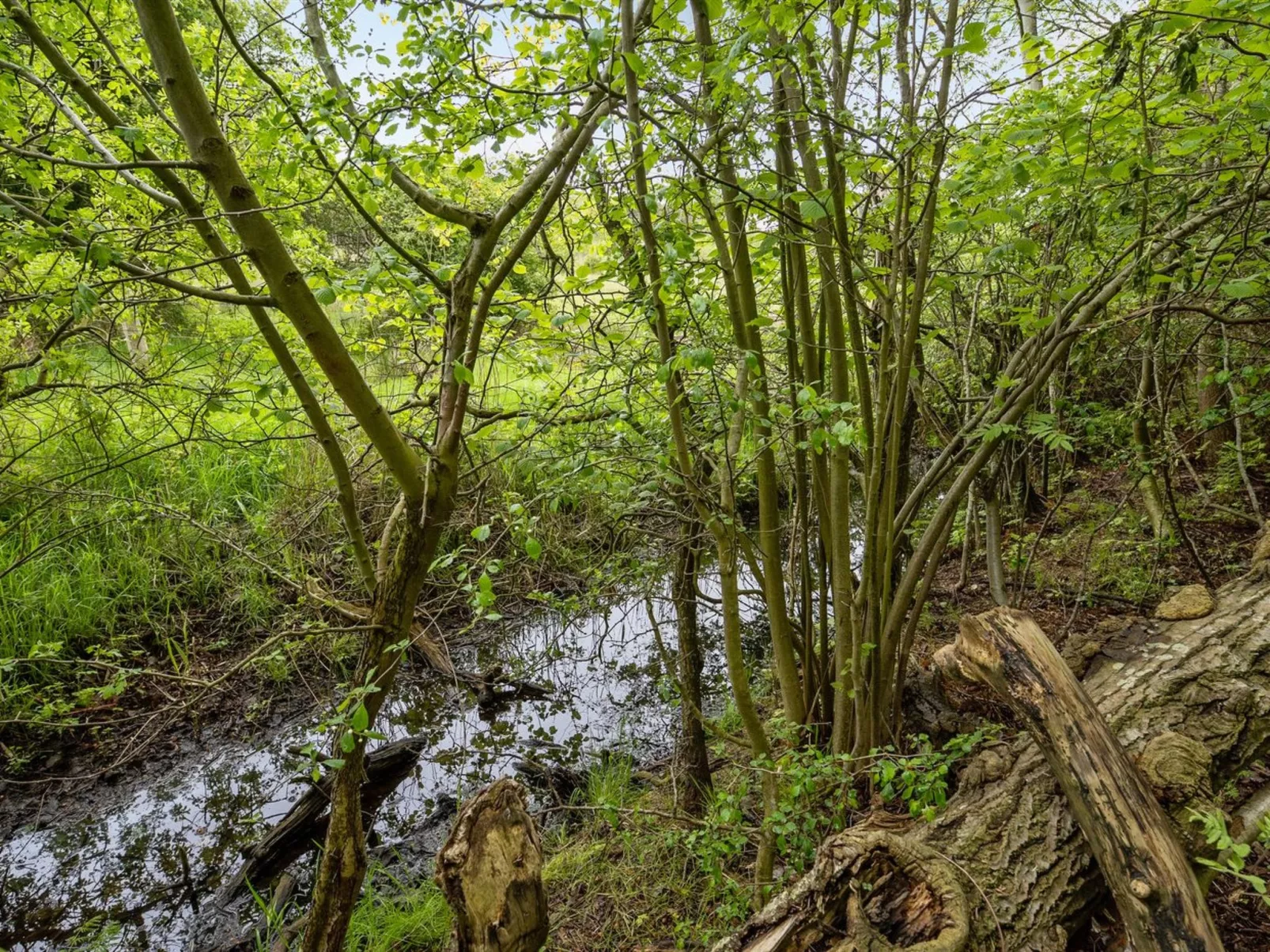 "Thrugels" - 200m from the sea-Buiten