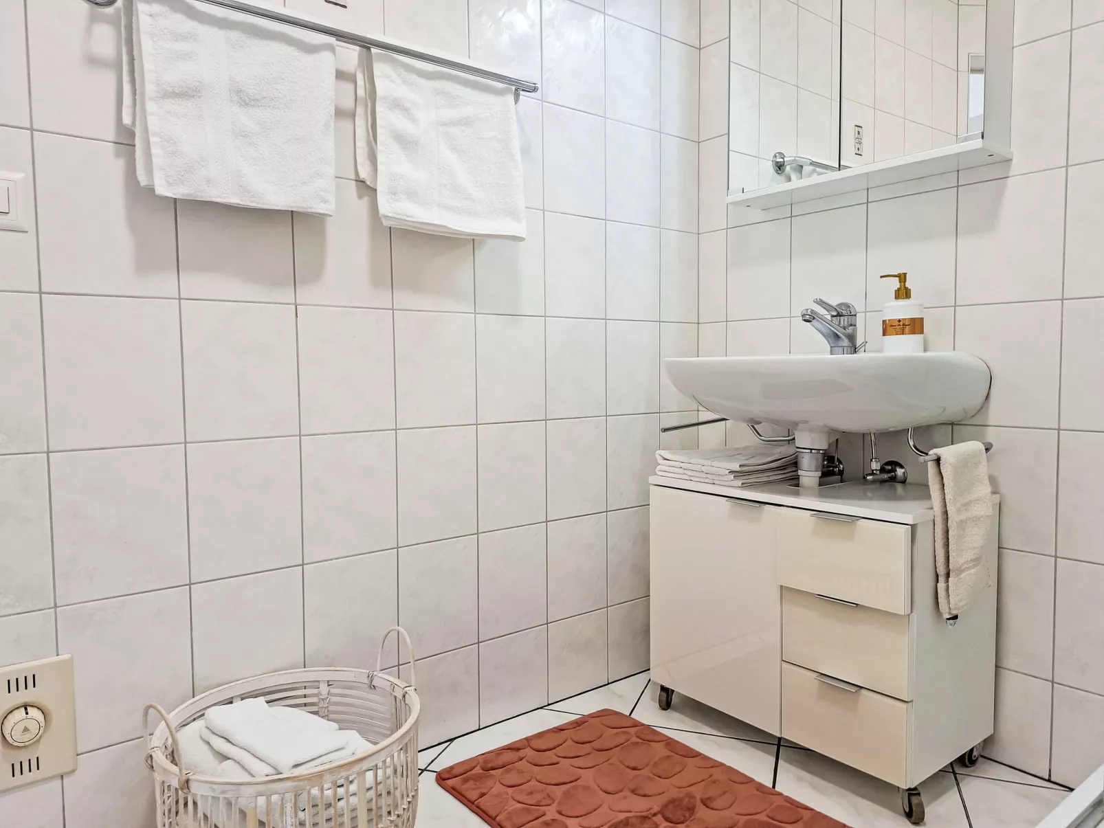 Am Brienzersee-Binnen