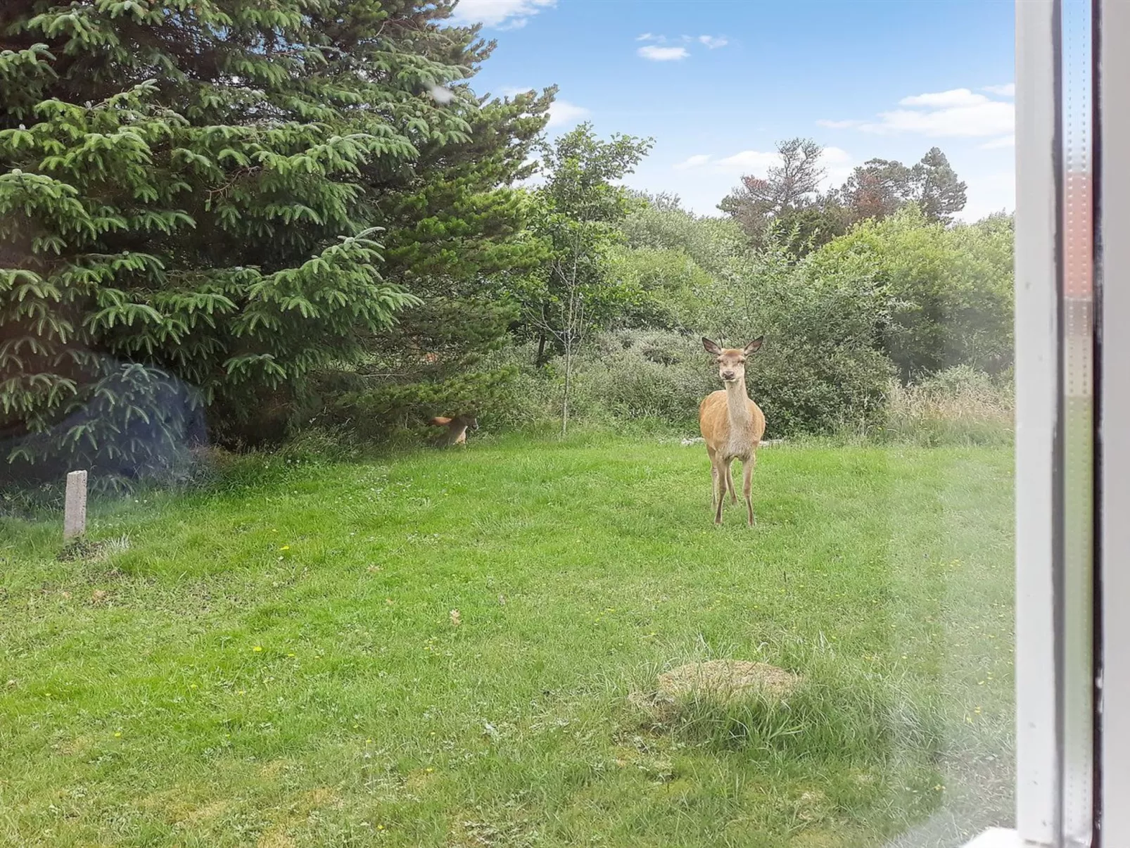 "Solborg" - 400m from the sea-Buiten