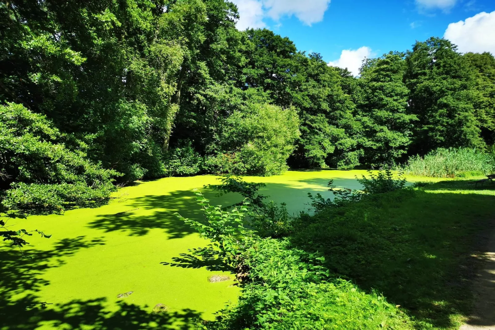 4 persoons vakantie huis in Hadsund-By Traum-Waterzicht