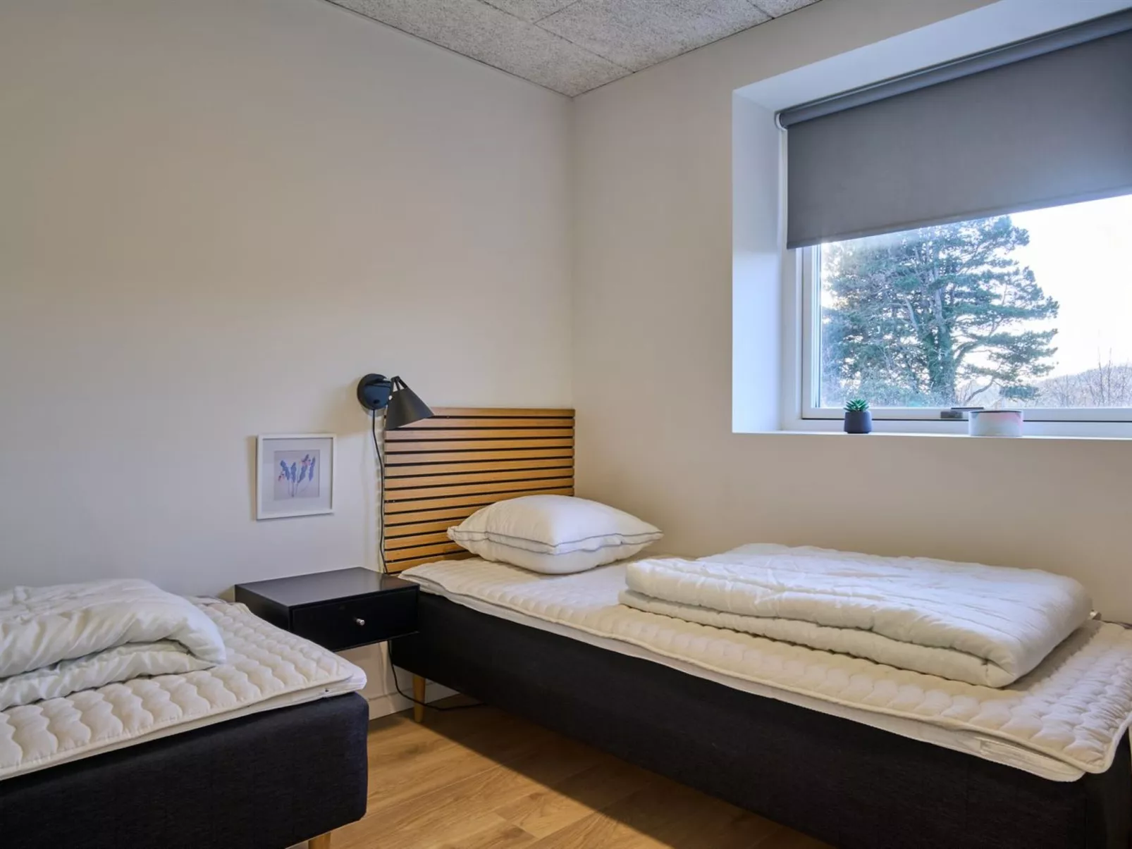 "Sasser" - 450m from the sea-Binnen