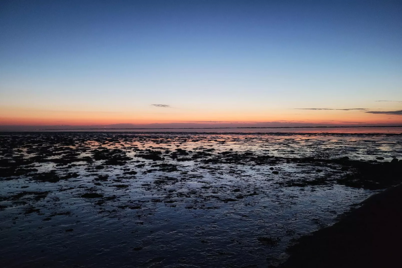 Doppelhaushälfte Nordseerose 125-Gebieden zomer 5km