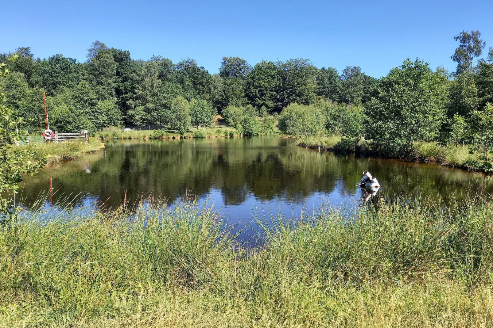 4 persoons vakantiehuis in Hoor-Waterzicht