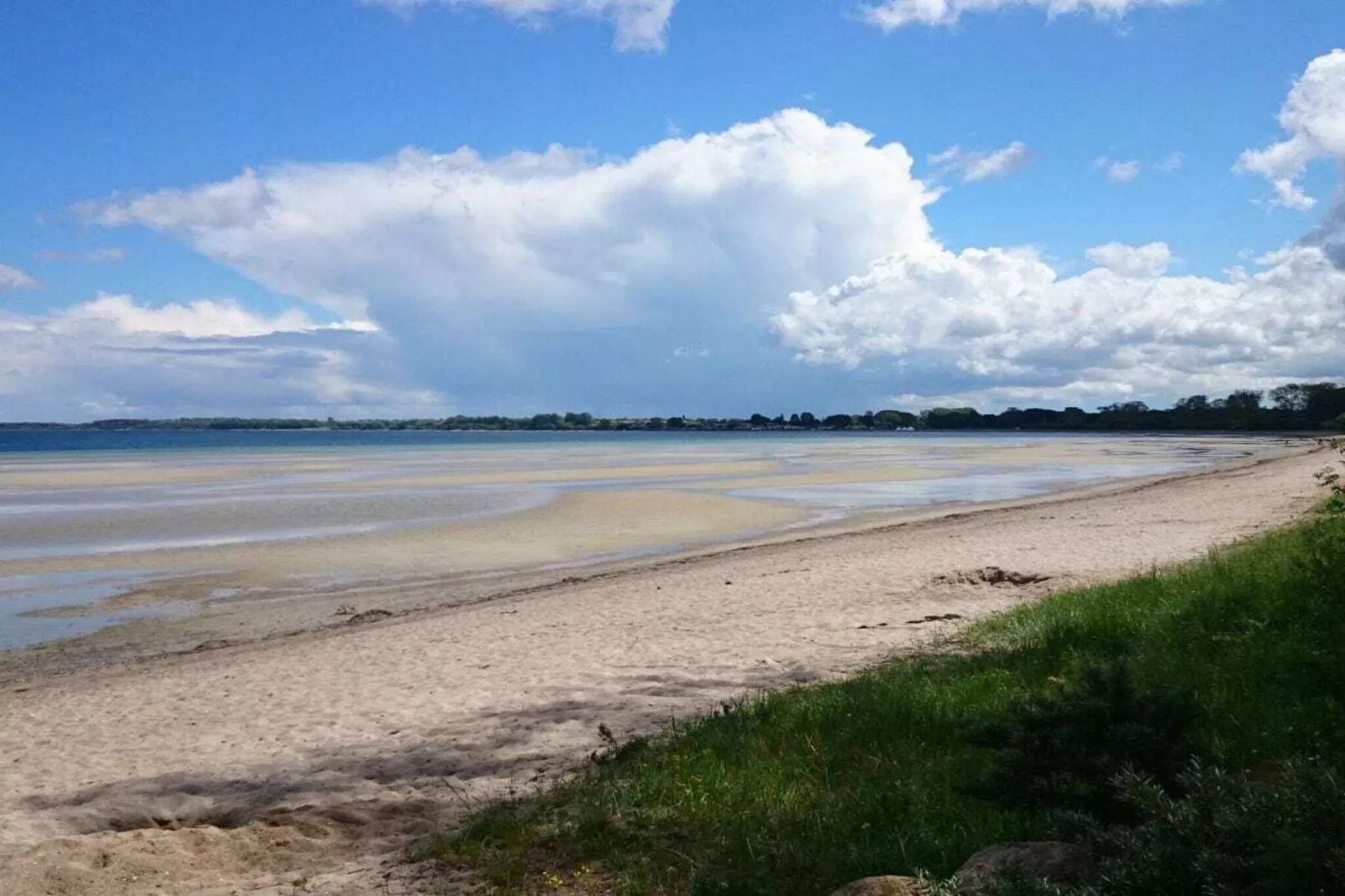 86647-Gebieden zomer 1km