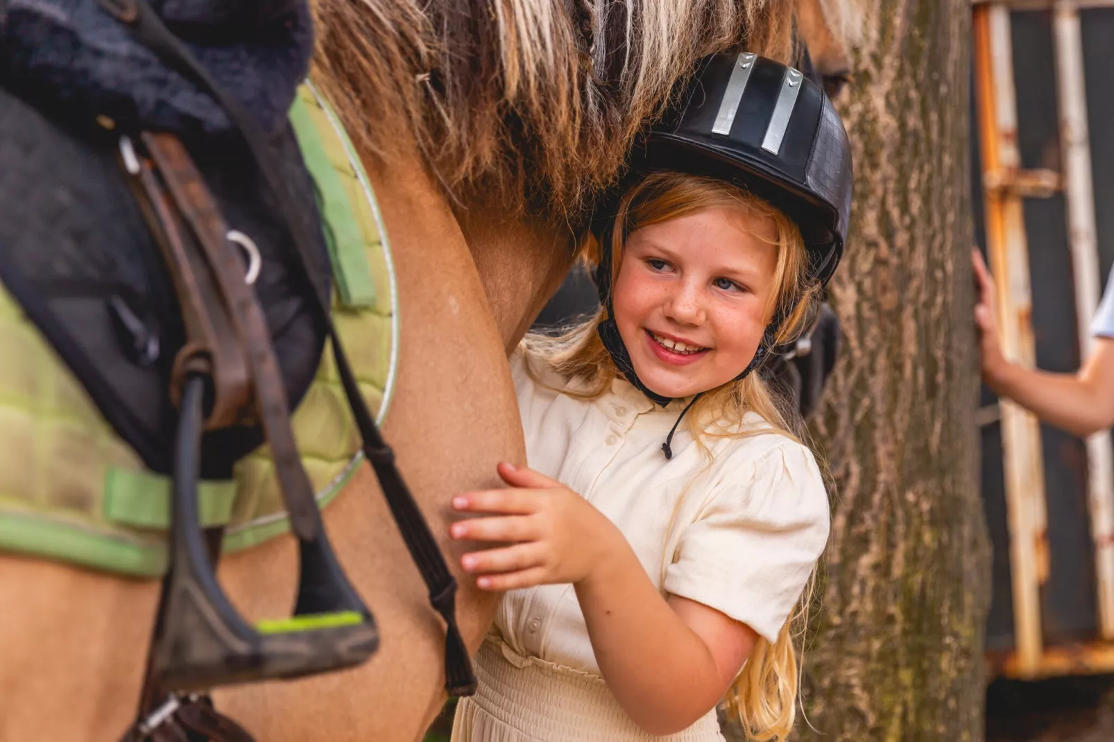 Alkmaar 12-Parkfaciliteiten