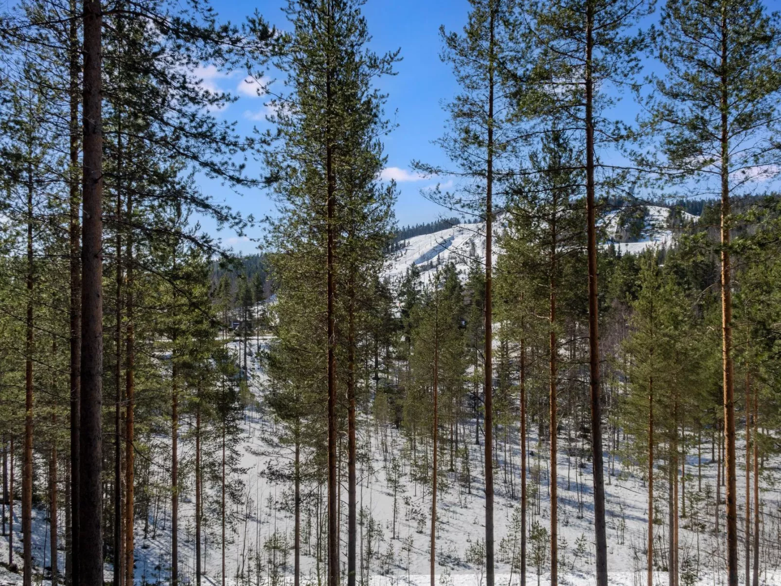 Vuokatti cabin 16-Binnen