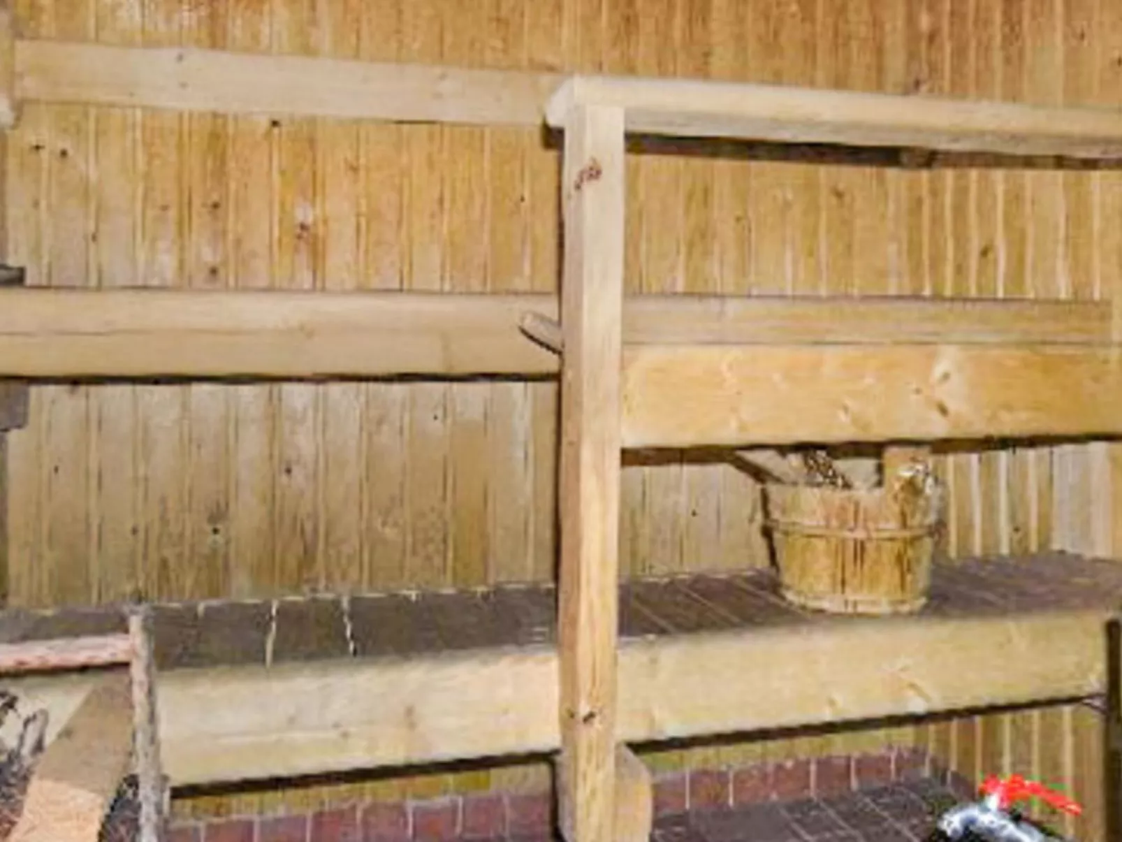 Metsä-iivari-Binnen