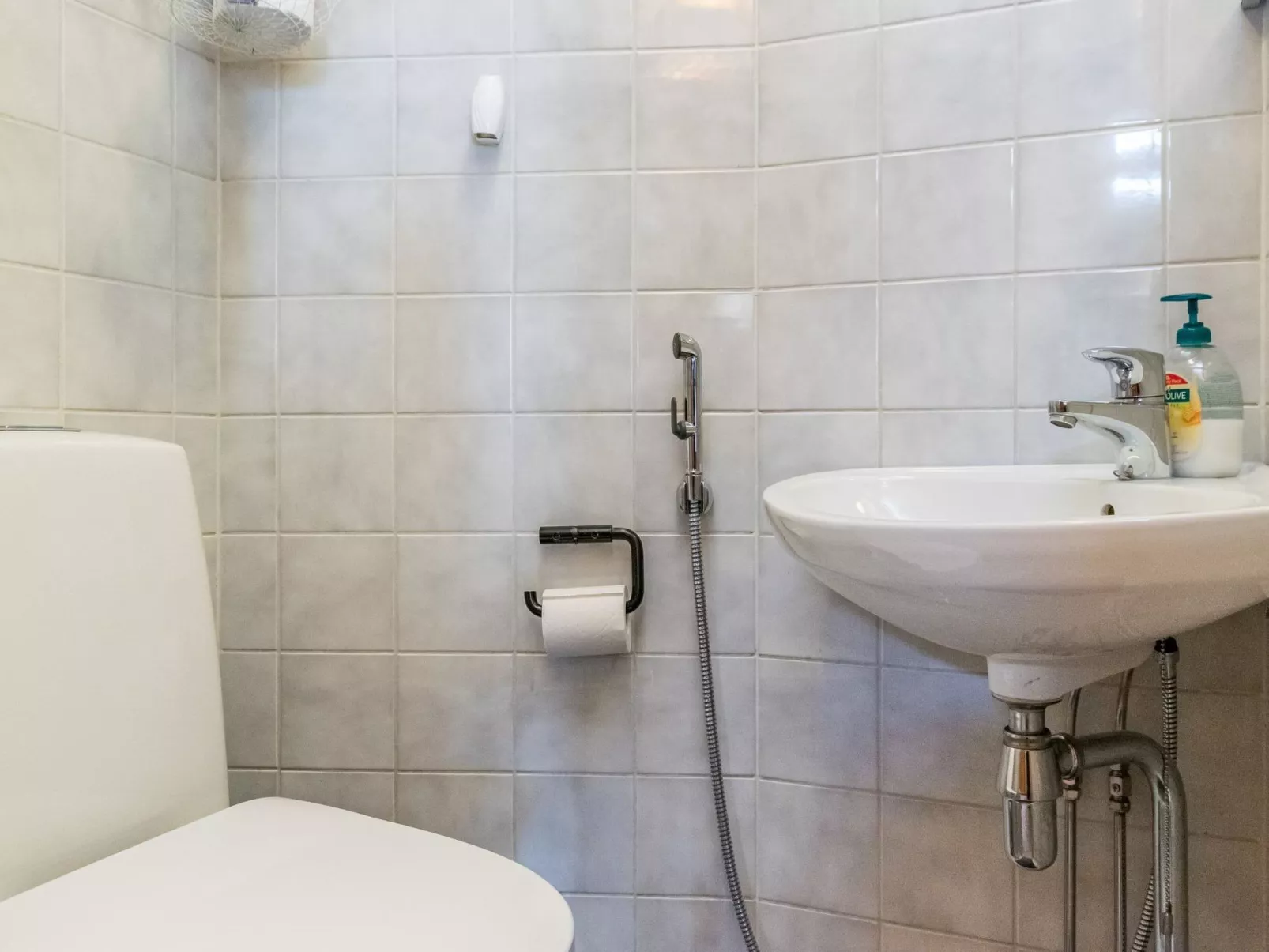 Saaruanaho h1-Binnen