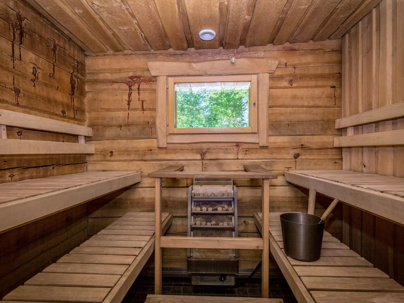 Koivuniemen rouva-Binnen