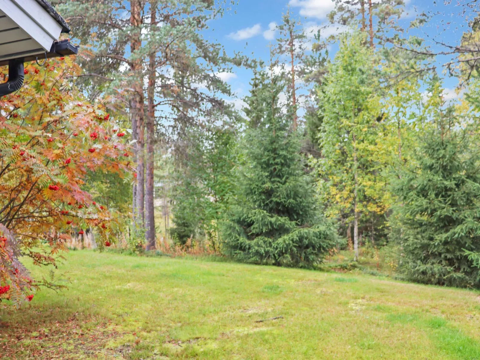 Paljakan pirtit a4-Binnen