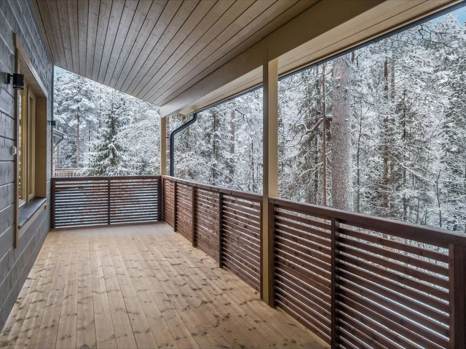 Saukonpesä a-Binnen