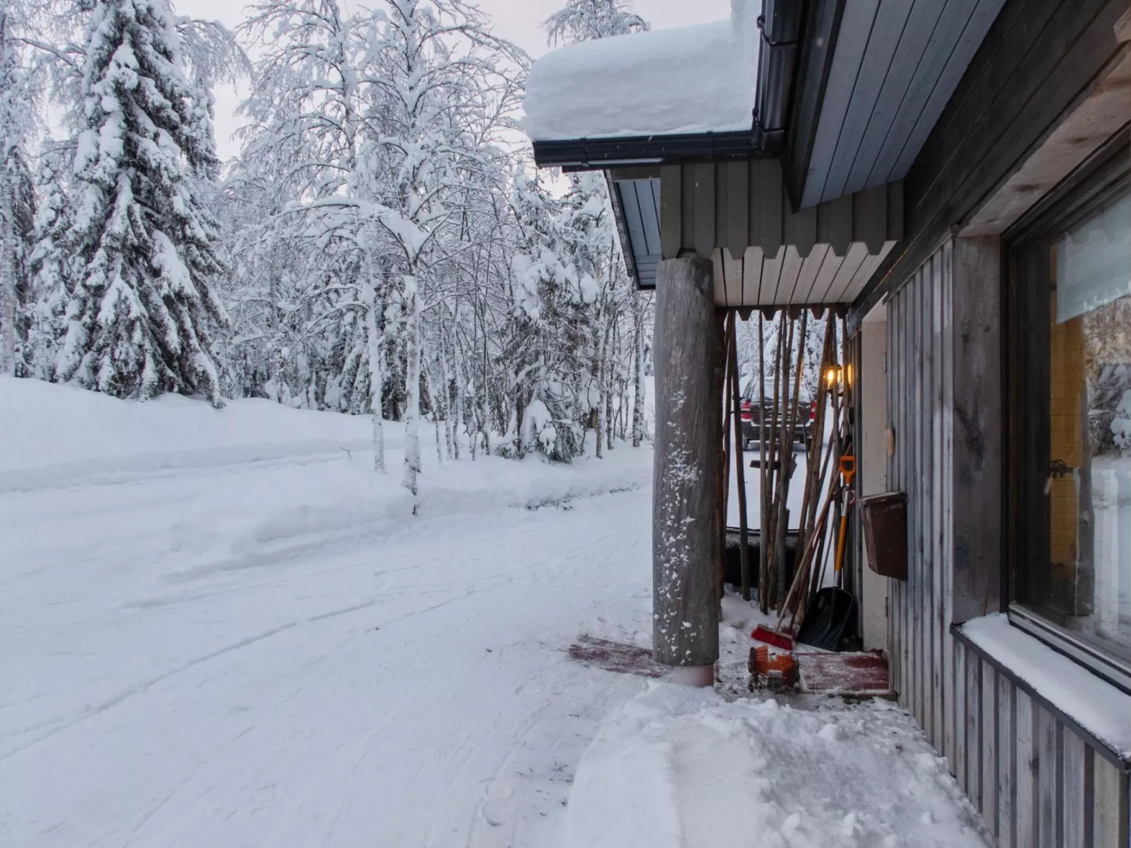 Mustalampi 3 lintukoto-Binnen