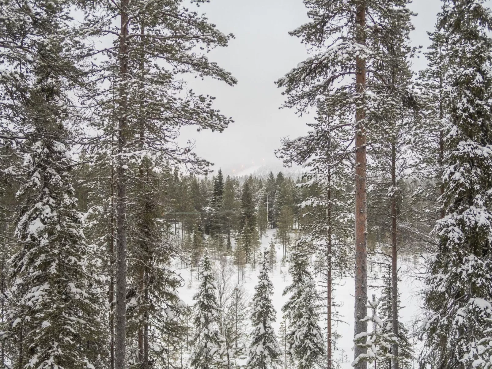 Saukkokumpu 3-Binnen