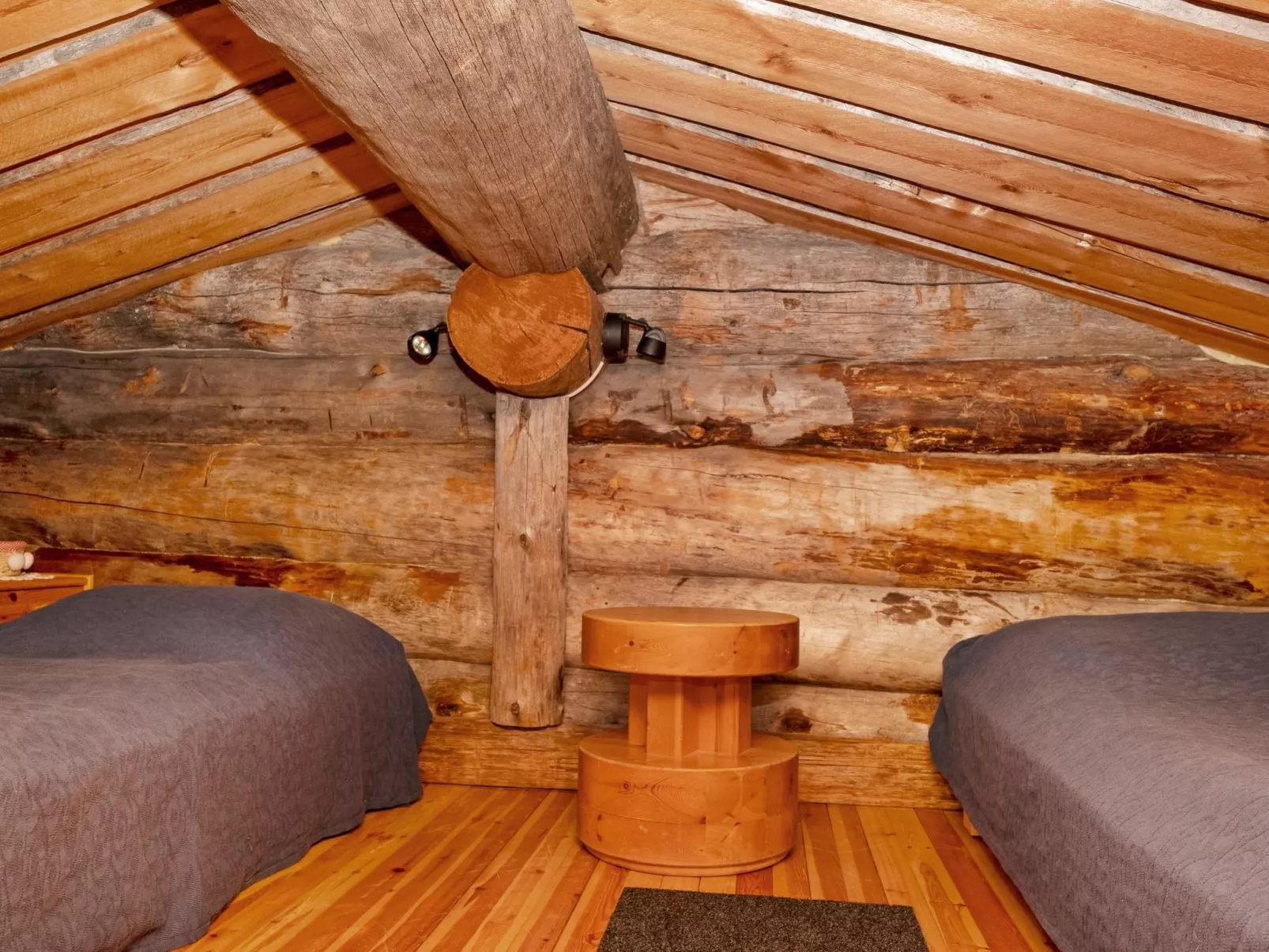 Villihanhi 7b-Binnen