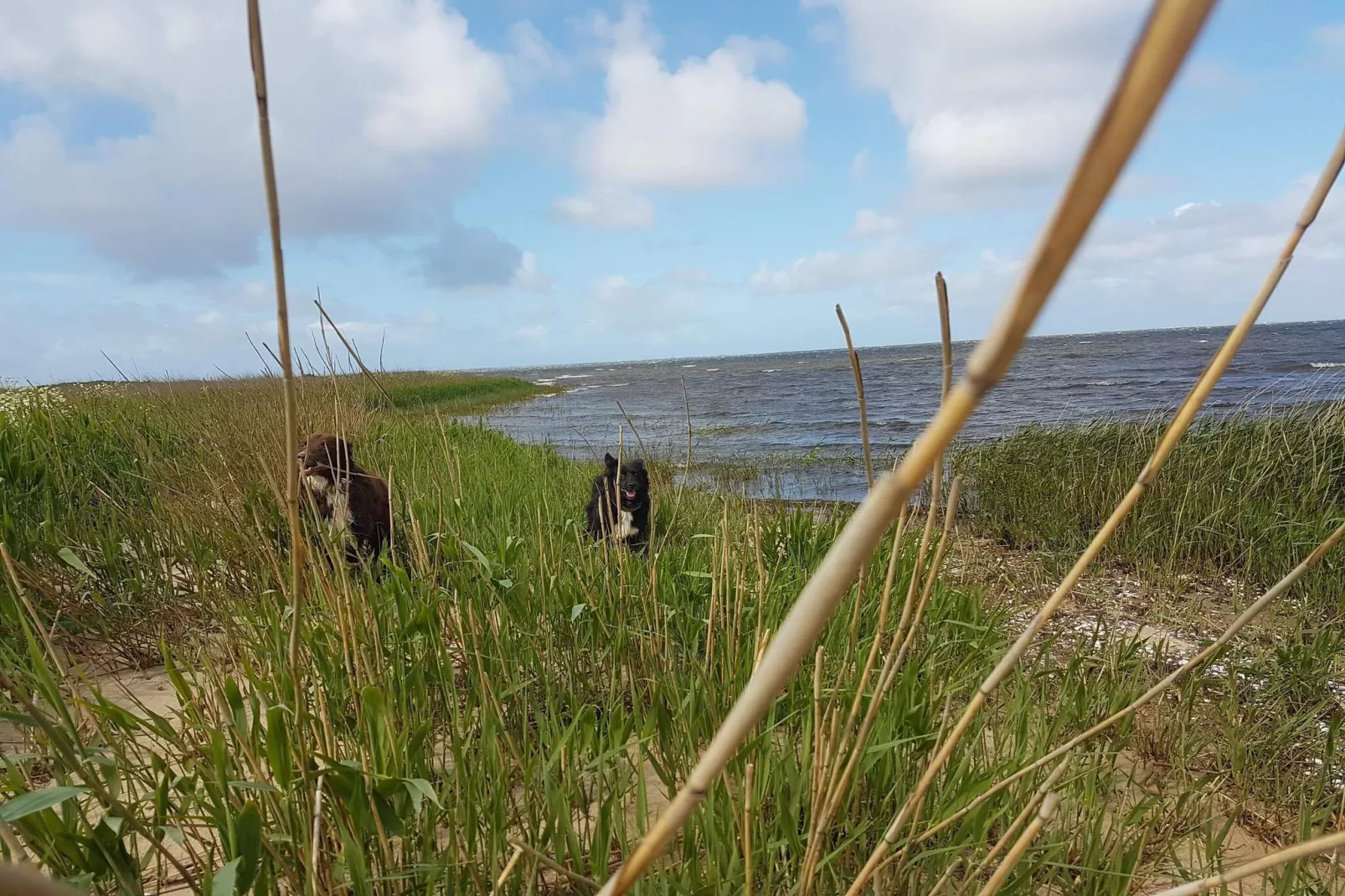 0 Personen vakantie huis in Hemmet-Waterzicht