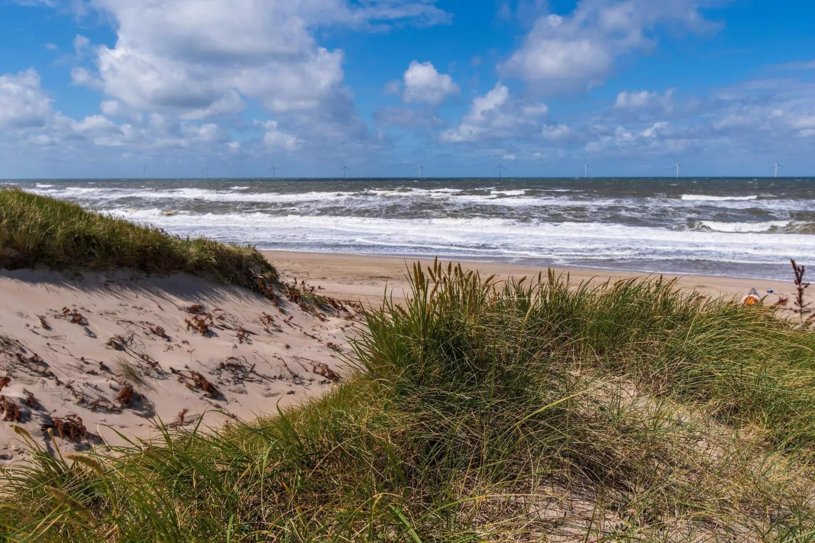 4 sterren vakantie huis in Harboøre - Waterzicht