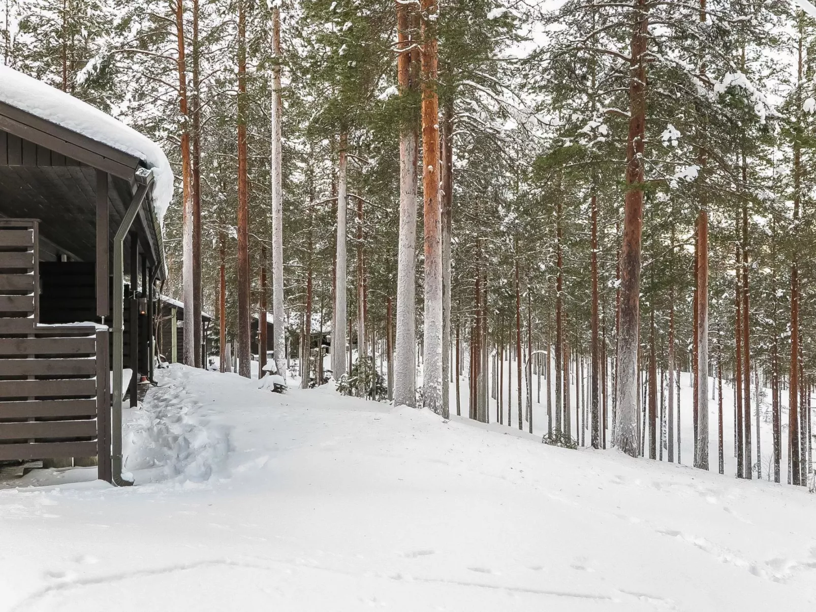Rokua vaulutupa-Binnen