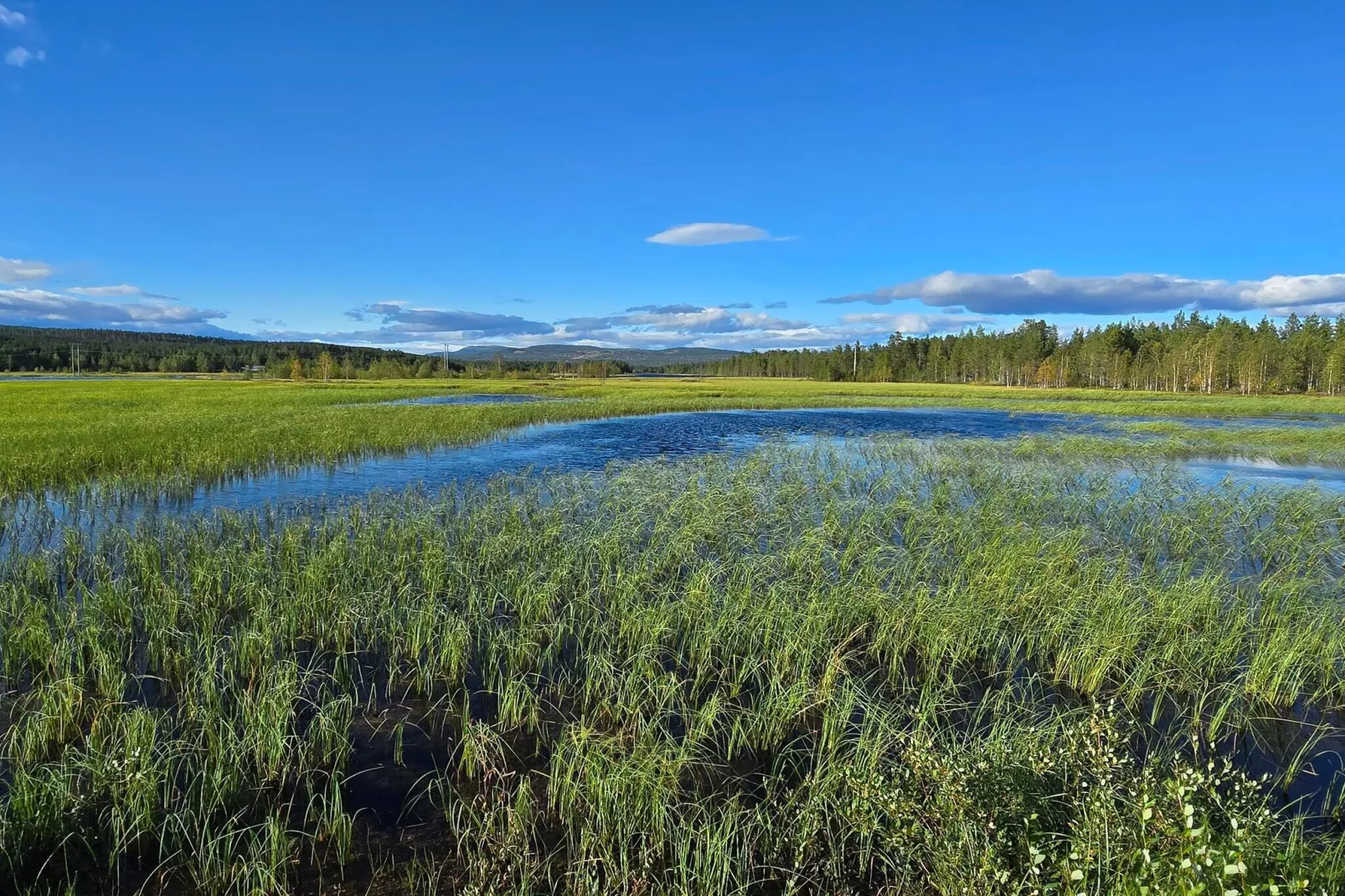 6 Personen vakantie huis in Osen-Niet-getagd