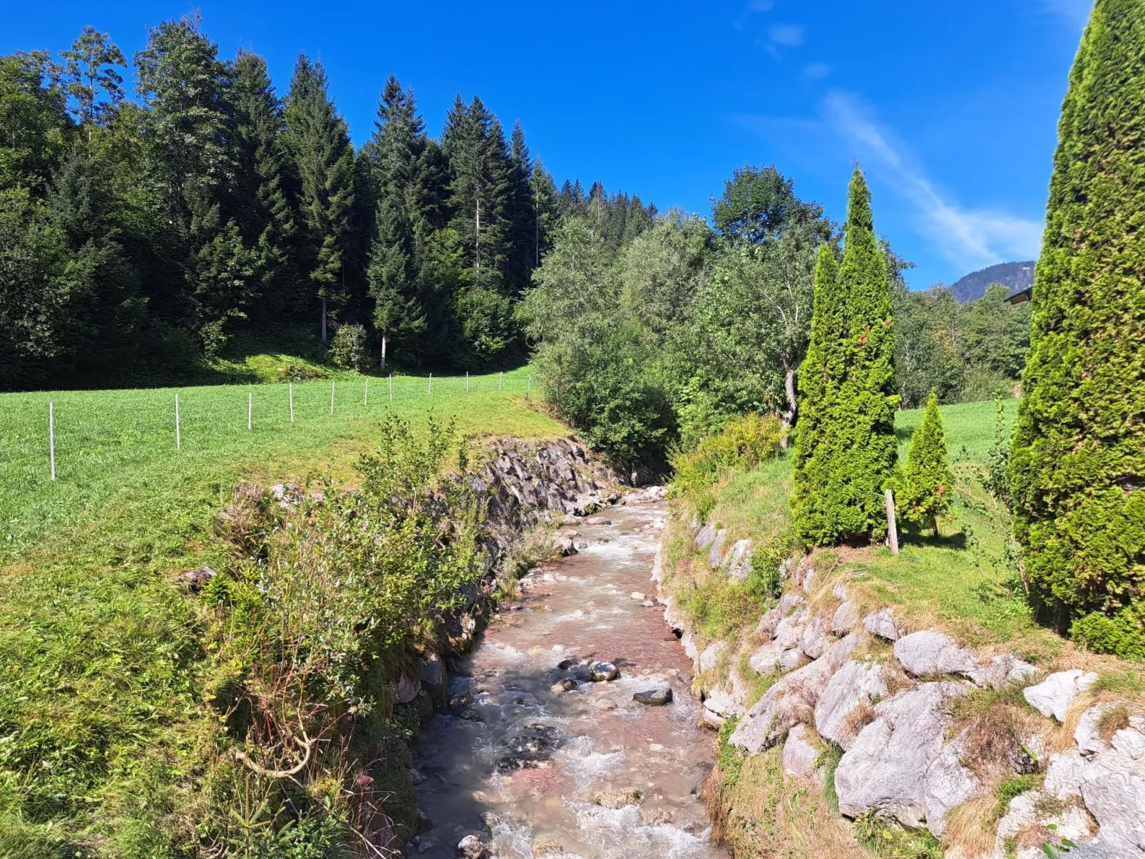 Waidmannsheil - 67qm-Buiten