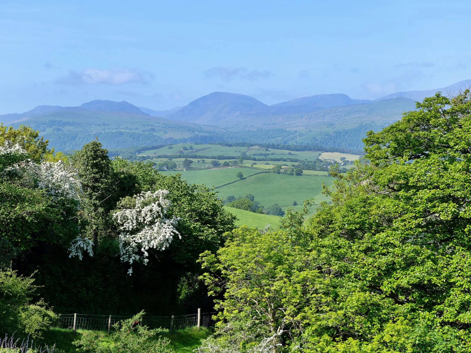 Red Kites Retreat-Buiten
