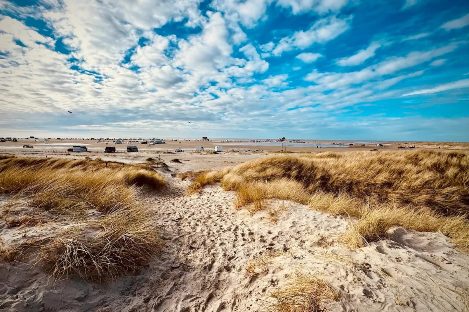 LiMa Whg Four Twee-Gebieden zomer 5km