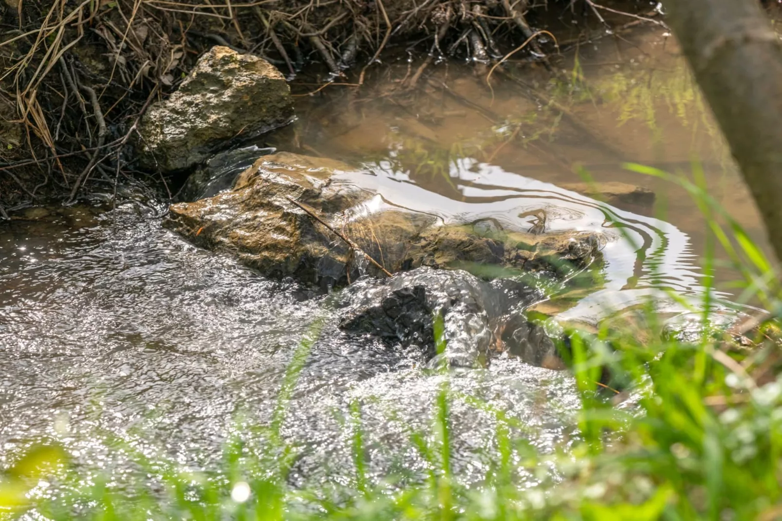 Robinzonski Kamp Hofman - Private Bungalow-Buitenlucht