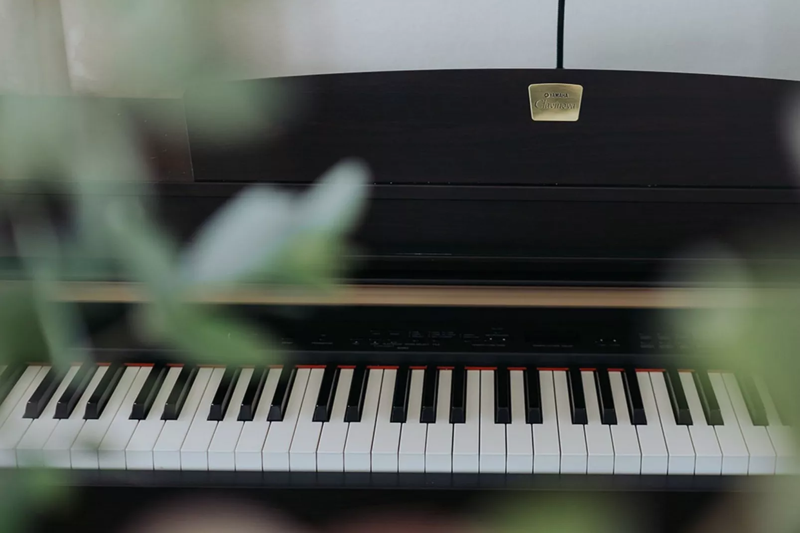 Enchanted Misty Valley Cottage Apartments - Standard One Bedroom Apartment (owner 3)-Binnen