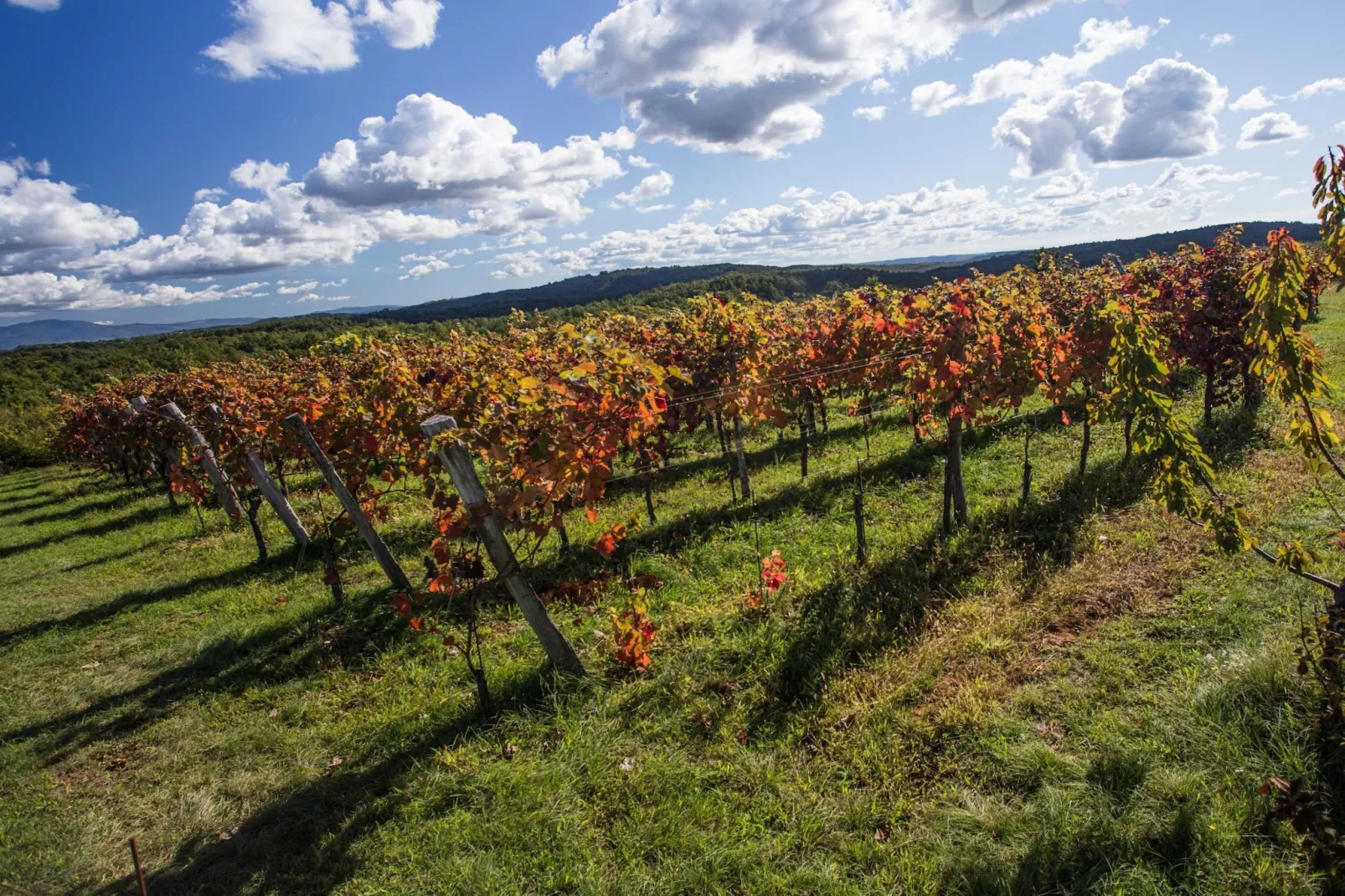 Abitanti Rustic Apartment with Balcony - Two Bedroom Apartment with Balcony-Buitenlucht