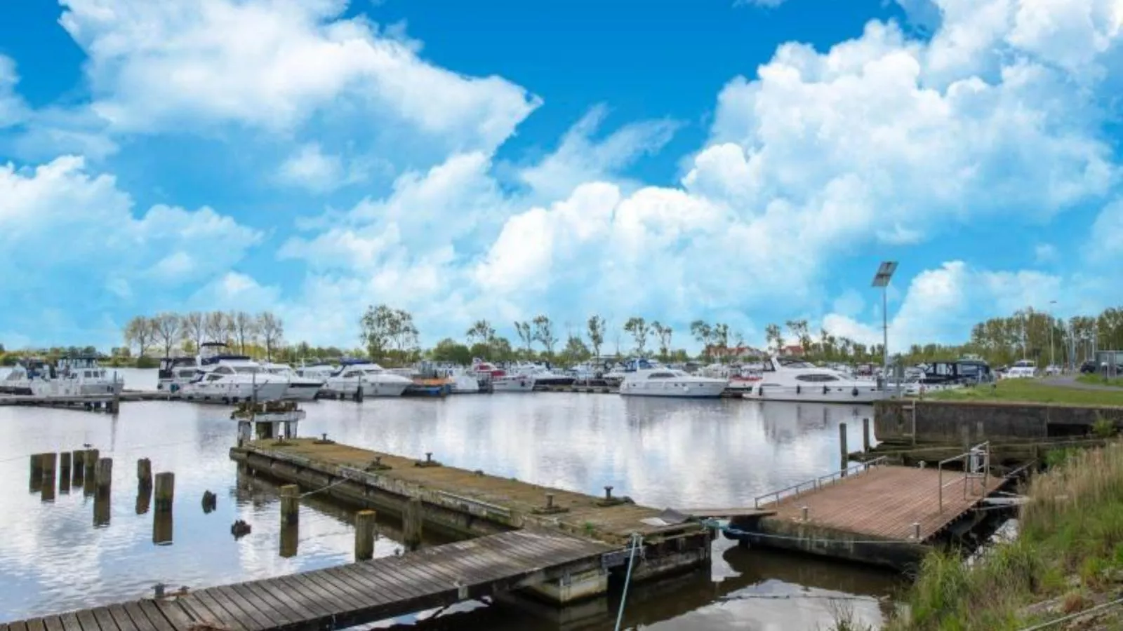 Nieuwendamme 108-Gebieden zomer 1km