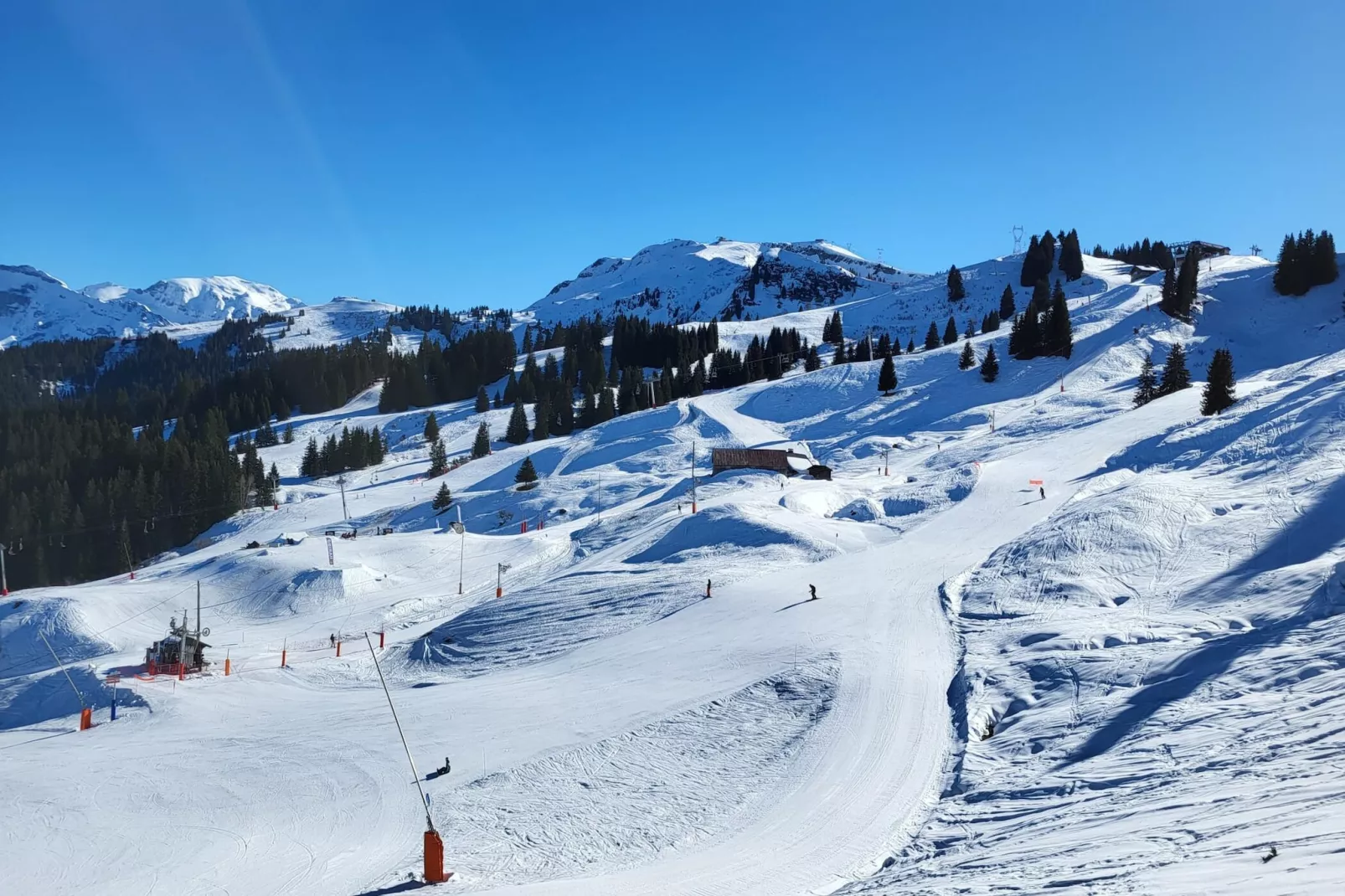 Jardins Alpins A N°20 - 2P6 - Gebied winter 20km