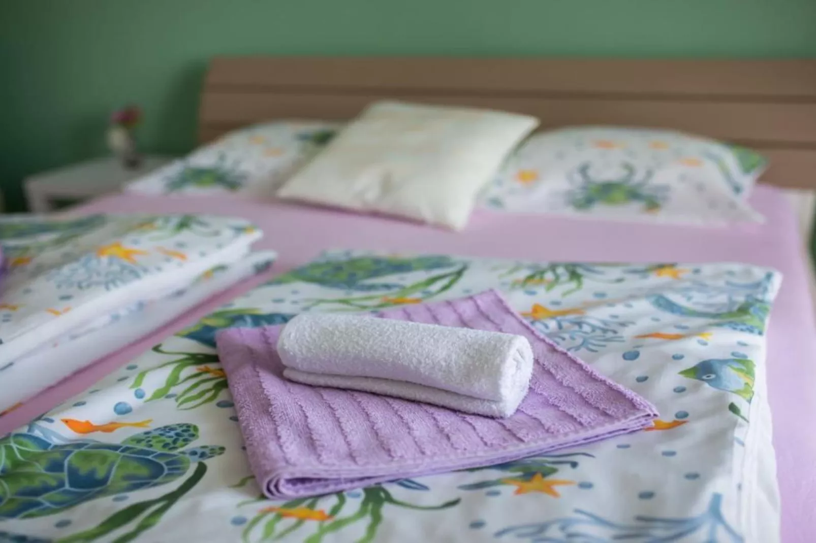 Apartments Melanie - Oprić Hills Studio apartment with balcony (C)-Slaapkamer