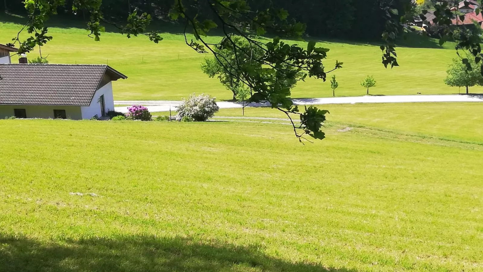 Berghof-Buitenkant zomer