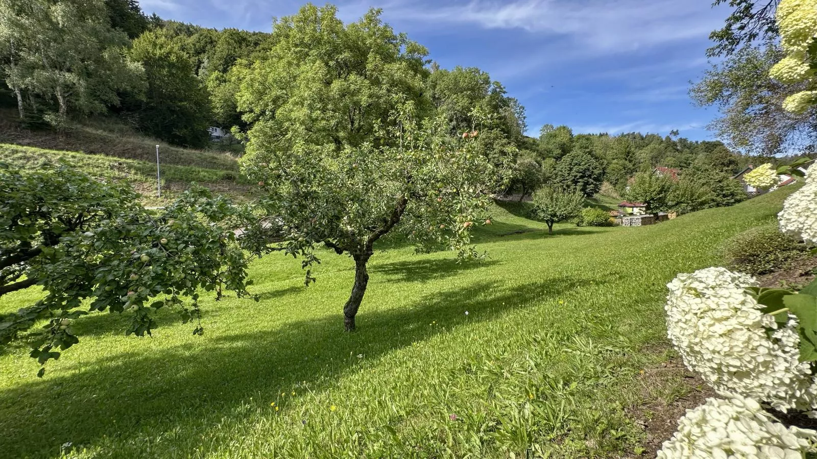 Gläserberg-Tuinen zomer