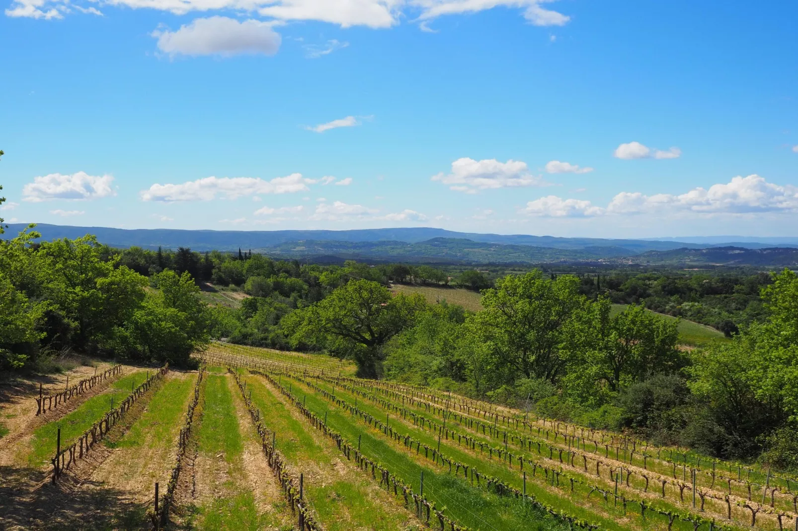 Doppelhaushälfte in Bédoin-Uitzicht zomer