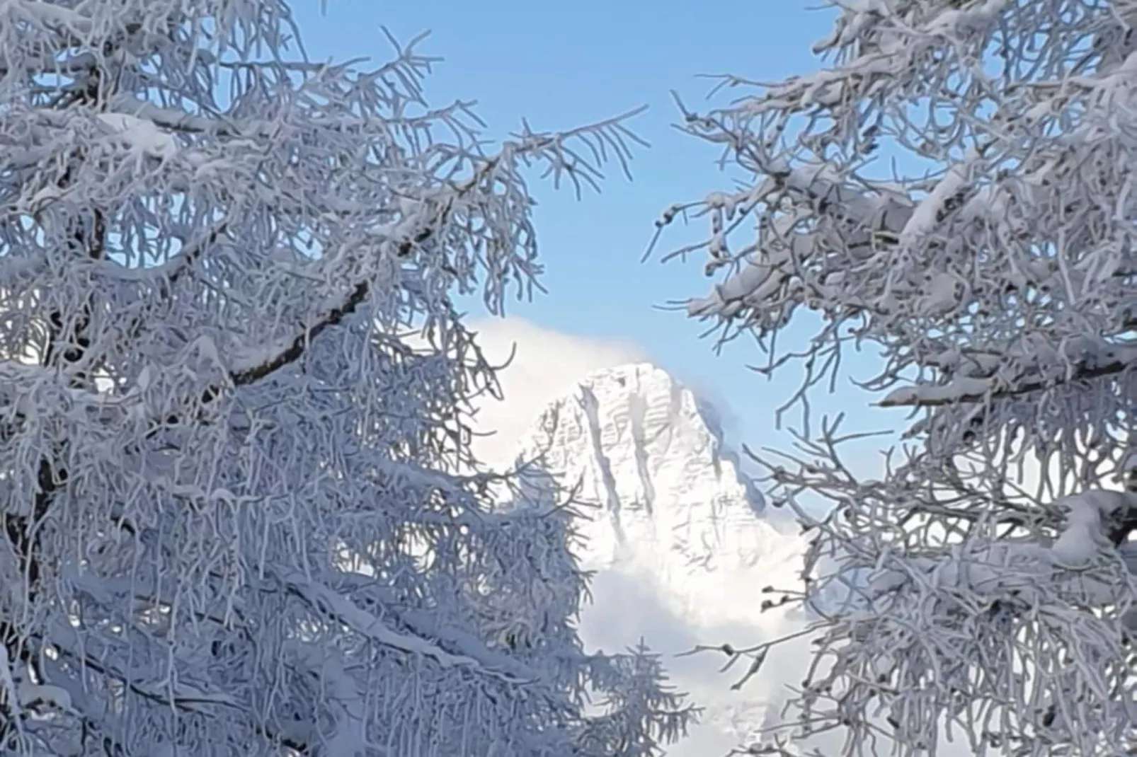 Apartment HAL  - one bedroom apartment-Buitenlucht