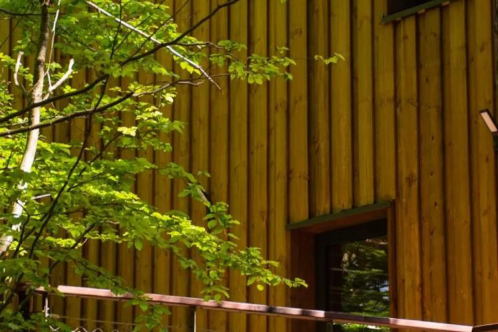 Gîte Cabane insolite dans les cévennes – les sous-bois 3 étoiles-Niet-getagd