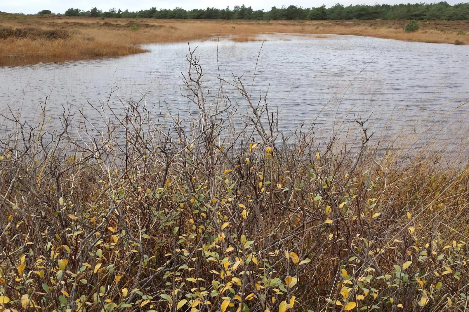 Rustig toevluchtsoord in Bolilmark-By Traum-Waterzicht