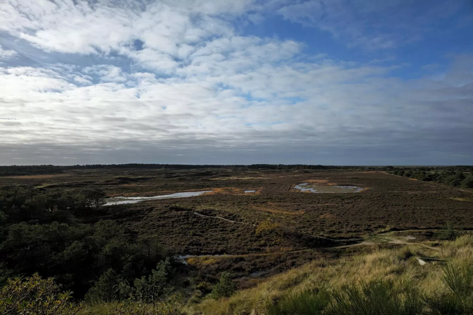 Rustiek rietgedekt huis op Romo-By Traum-Waterzicht