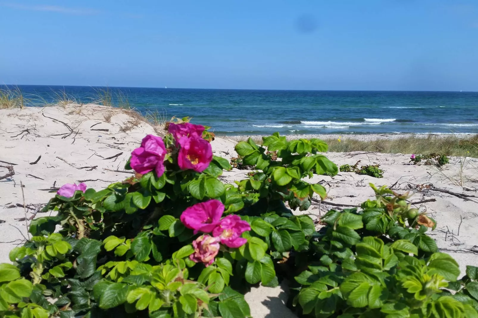 24 persoons vakantie huis in Frederiksværk-Waterzicht