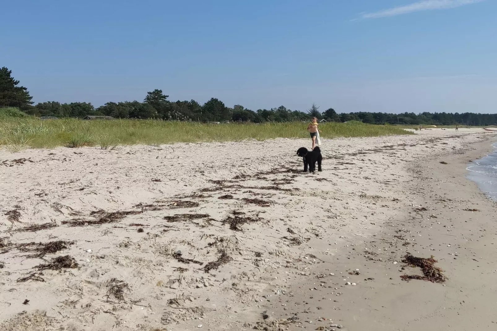 6 persoons vakantie huis in Knebel-Waterzicht