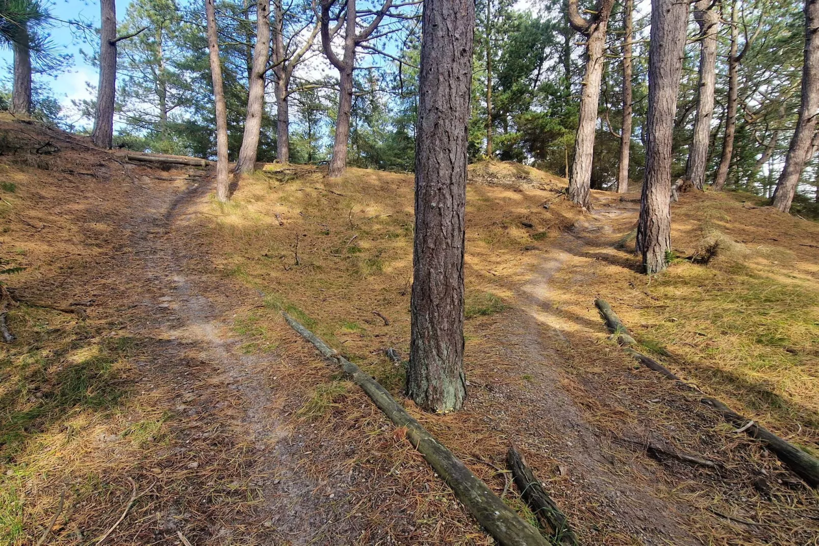 4 persoons vakantie huis in Oksbøl-Niet-getagd