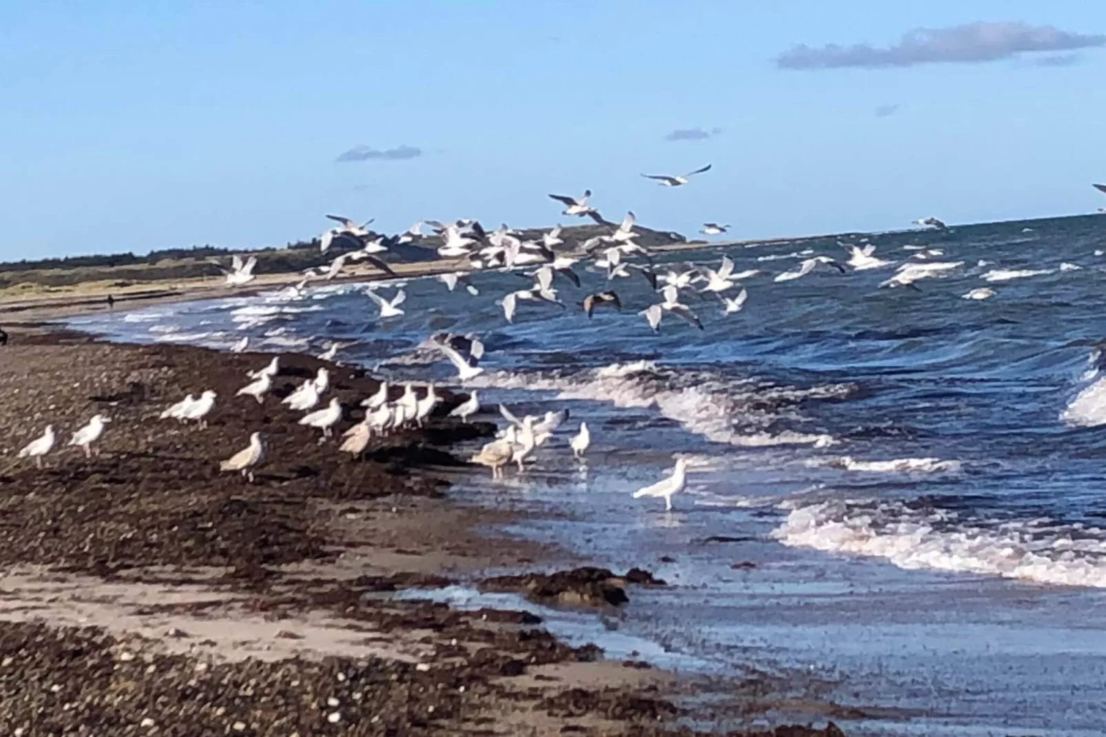14 persoons vakantie huis in Løkken-Waterzicht