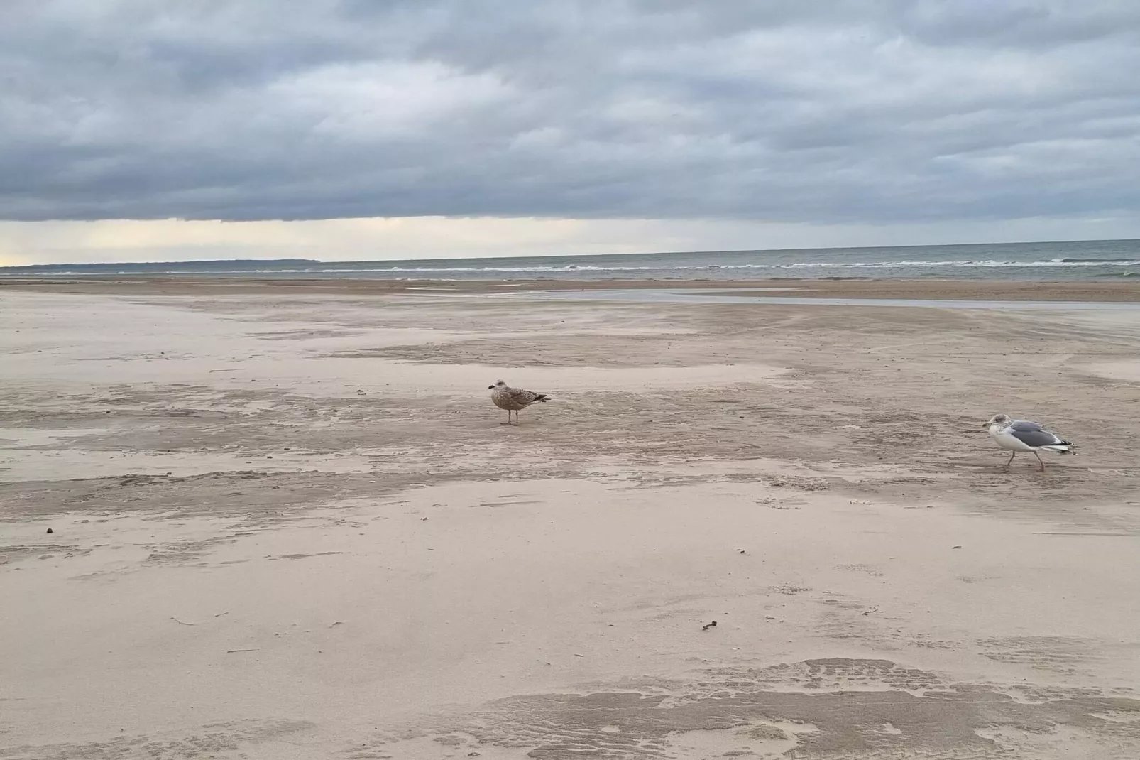 Luxe Spa-Retraite bij Zee -- By Traum Ferienwohnungen-Waterzicht