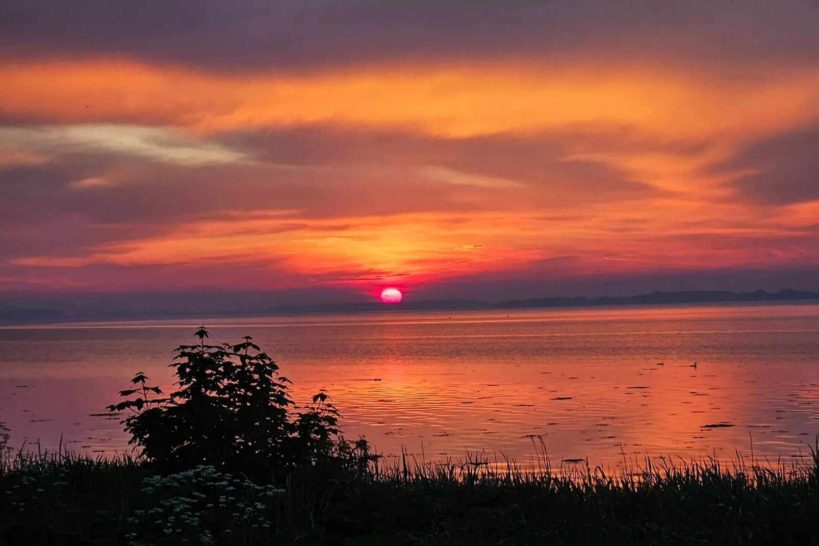 6 persoons vakantie huis in Stubbekøbing-By Traum-Waterzicht