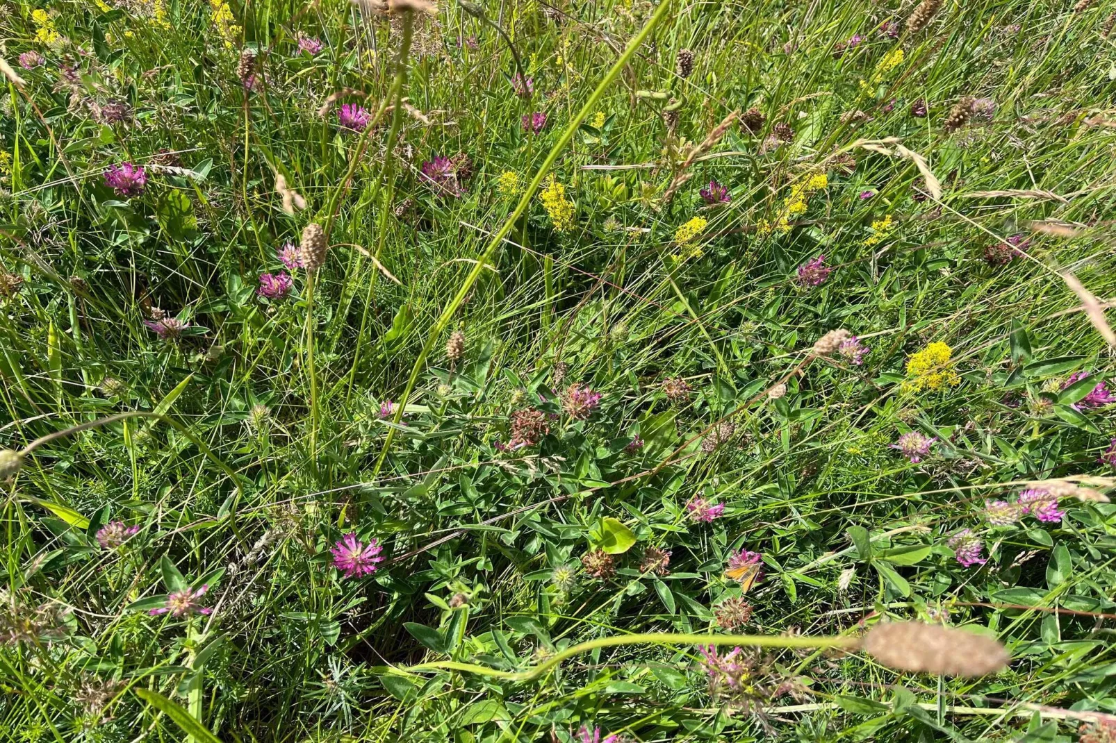 7 persoons vakantie huis in Knebel-By Traum-Niet-getagd