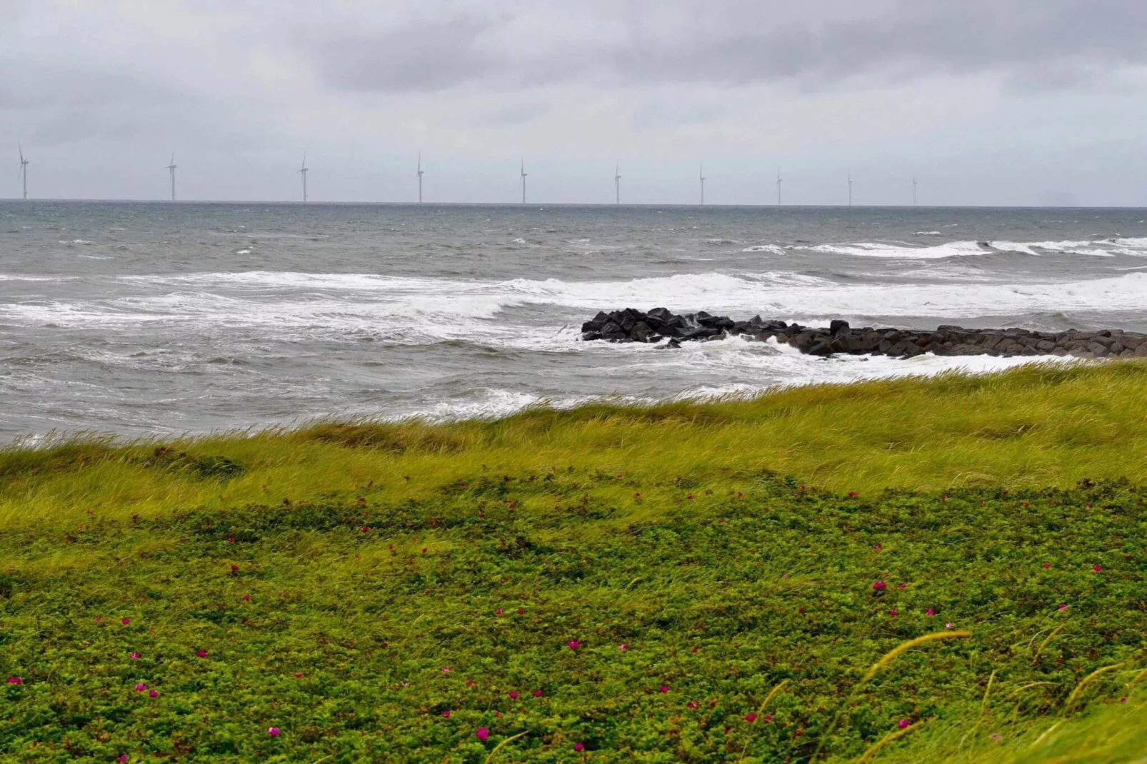 4 persoons vakantie huis in Lemvig-By Traum-Waterzicht
