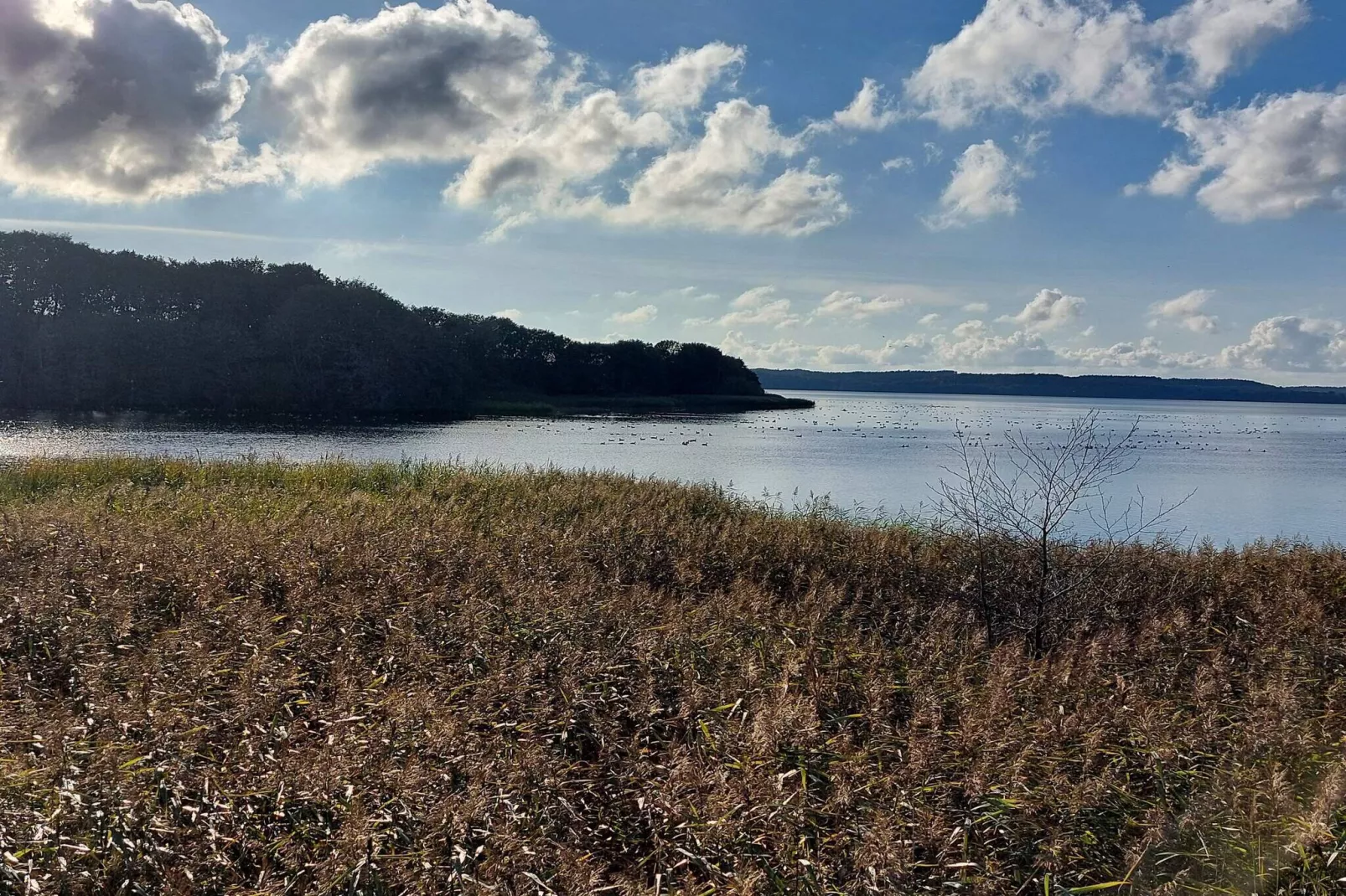 6 persoons vakantie huis in Ebeltoft-By Traum-Waterzicht