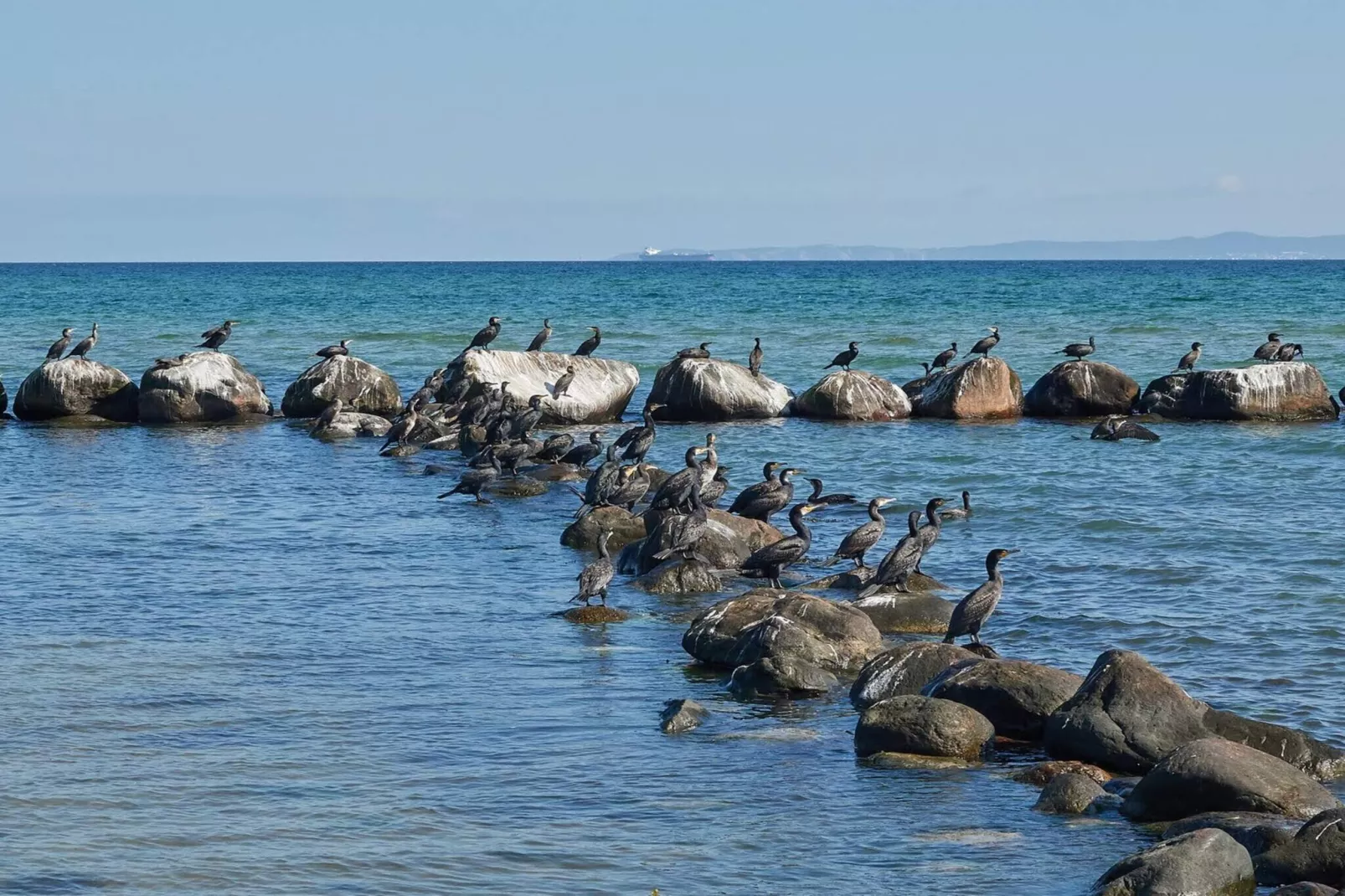 6 persoons vakantie huis in Gilleleje-By Traum-Waterzicht